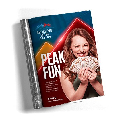 “Peak Fun”<br>Campaign Concept